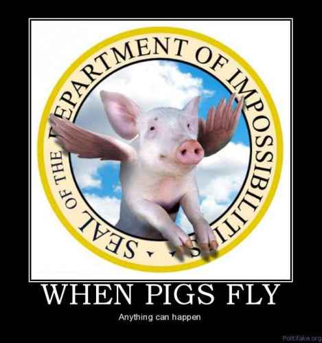 whn pigs fly 1